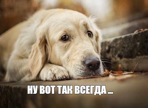 708470e4f8b6ce8f13372102092e82bc.jpg