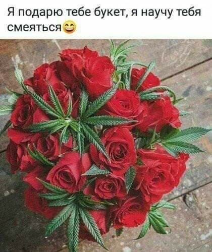 5ad0f19bfcb9f2bdd41de917aad827c5.jpg