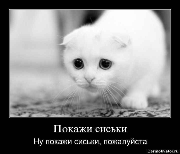 e1ec95e3baef82b8273ac1447667bfb3.jpg