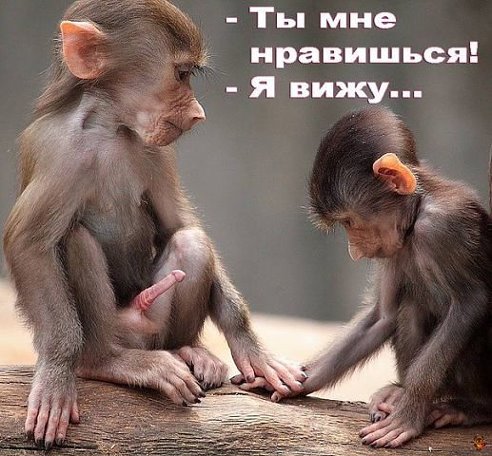 post-90736-0-25954300-1382529905.jpg