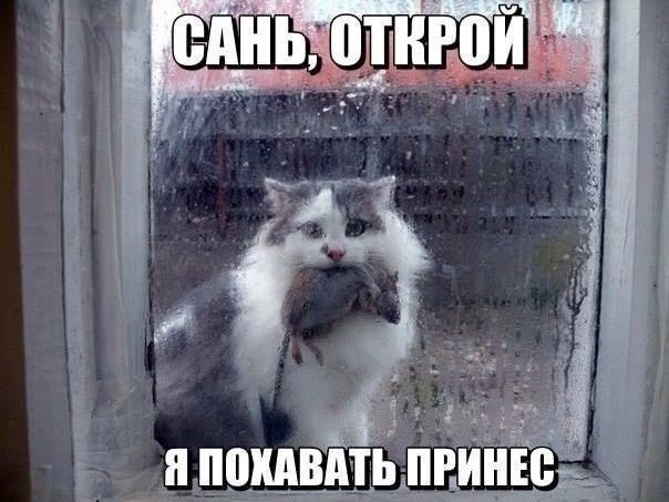 Yxt18qO40_s.jpg