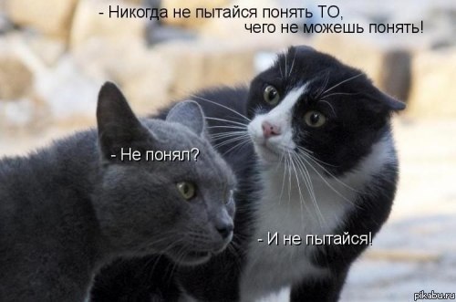 73l-wQx_7vk.jpg