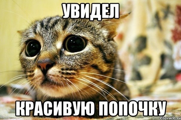 ZivcSUKGzGM.jpg