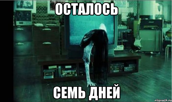 zvonok_27069178_orig_.jpeg