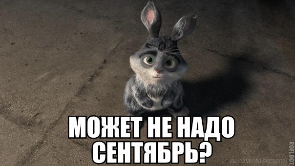 7j_DkkhDNMA.jpg