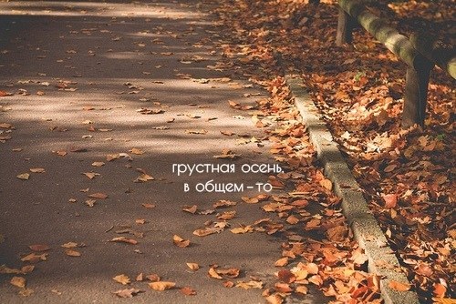 nHpHhn3g9r8.jpg