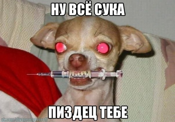 QxPKqaC4_4g.jpg