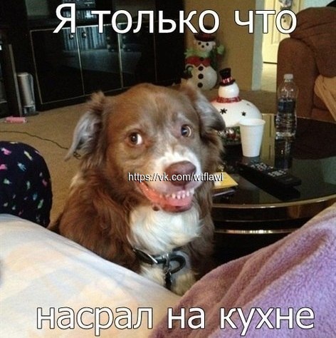 LPhgJjeyEZk.jpg